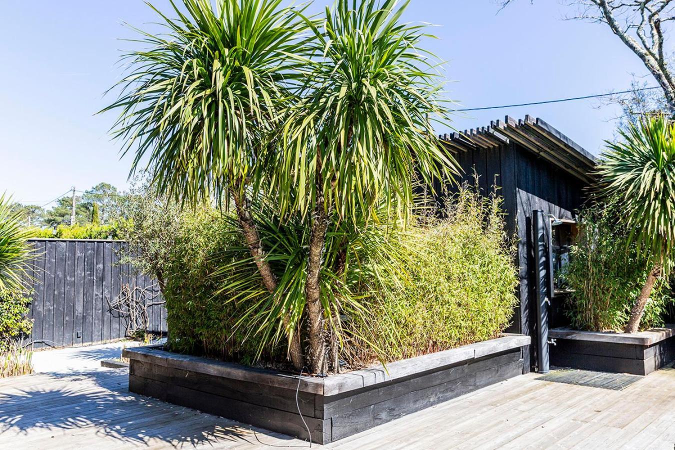 Beach House Lège-Cap-Ferret Dış mekan fotoğraf